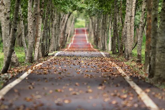 🍁 Magische Herbstziele in Europa: Die besten Orte und Geheimtipps für deinen nächsten Urlaub!